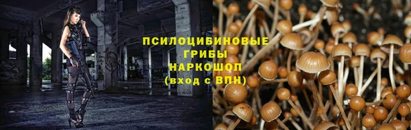 2c-b Арсеньев