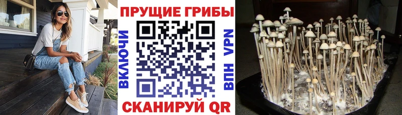 Псилоцибиновые грибы мухоморы  Спасск-Дальний 